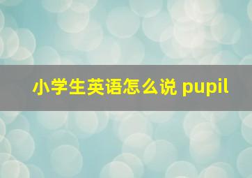 小学生英语怎么说 pupil